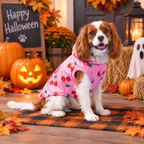 Dead Cute Halloween Dog Hoodie