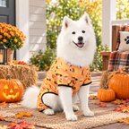 Candy Corn Halloween Dog Pajamas