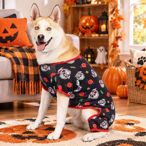 Day of the Dead Dog Pajamas