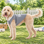 Lil’ Boo Halloween Dog Hoodie
