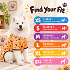 Candy Corn Halloween Dog Pajamas